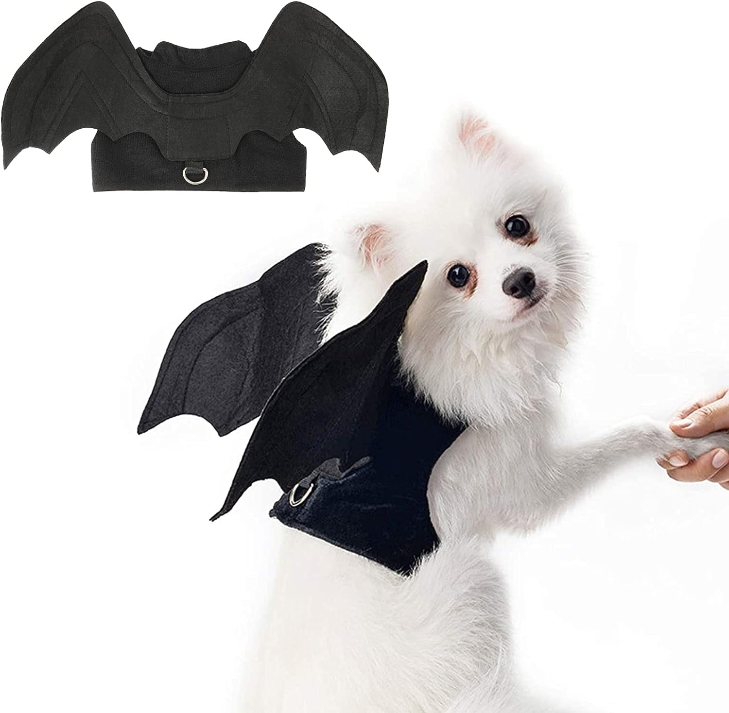 Dog Halloween Costume - Halloween Bat Wings Pet Costumes for Dogs Cats Halloween Party Medium